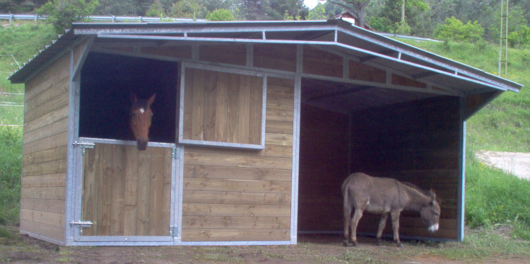 L'ensemble présenté ici dispose d'un box cheval avec un abri attenant pour l'âne.