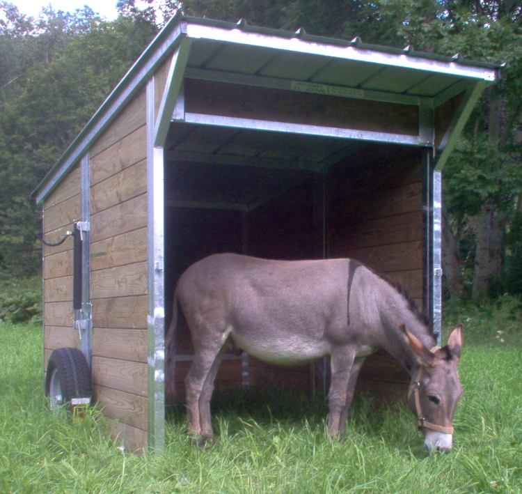L'abri déplaçable ici pour un âne est présenté en pâture. C'est un abri mobile tractable Jouve.