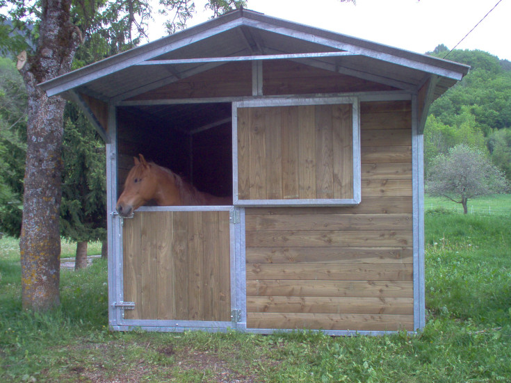 Le cheval est dans son box Jouve et regarde dehors.