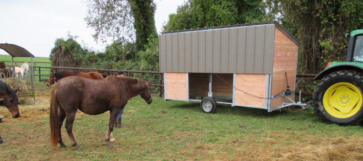 Les chevaux observent l'arrivée de leur abri mobile, remorqué par un tracteur dans leur pâture.