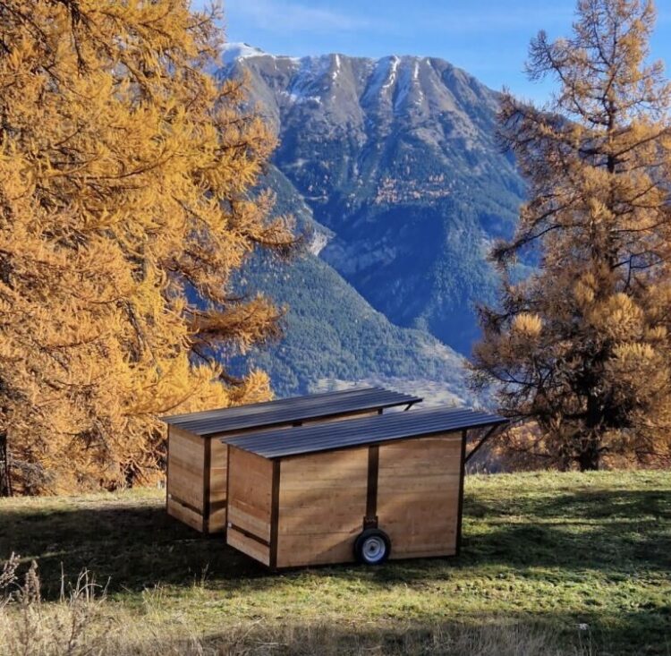 prairie pâture montagne abri chevaux poneys ânes